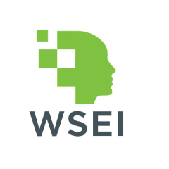 wsei краков