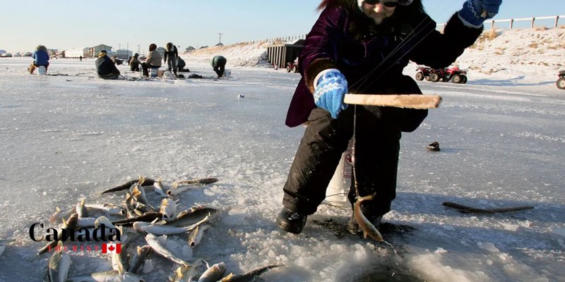 Experience the Thrill of Ice Fishing Evolution Gaming in the UK Online Market - overview