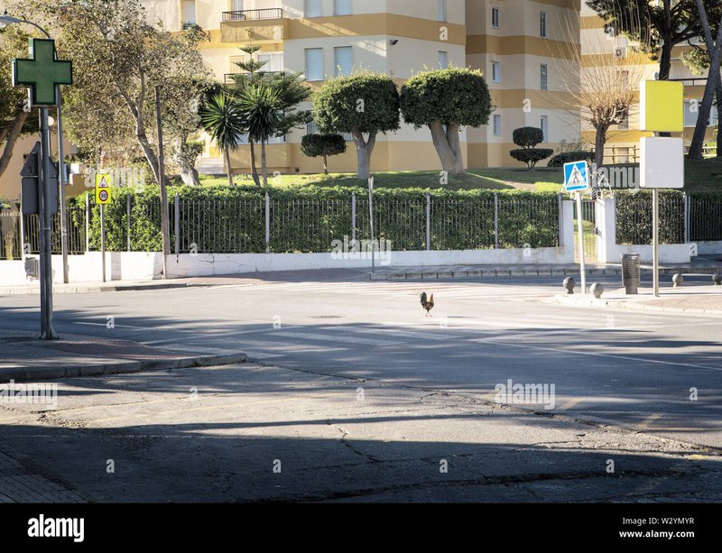Descubre el Misterio de la Carretera de Pollo, El Nuevo Juego de Casino en in Spain